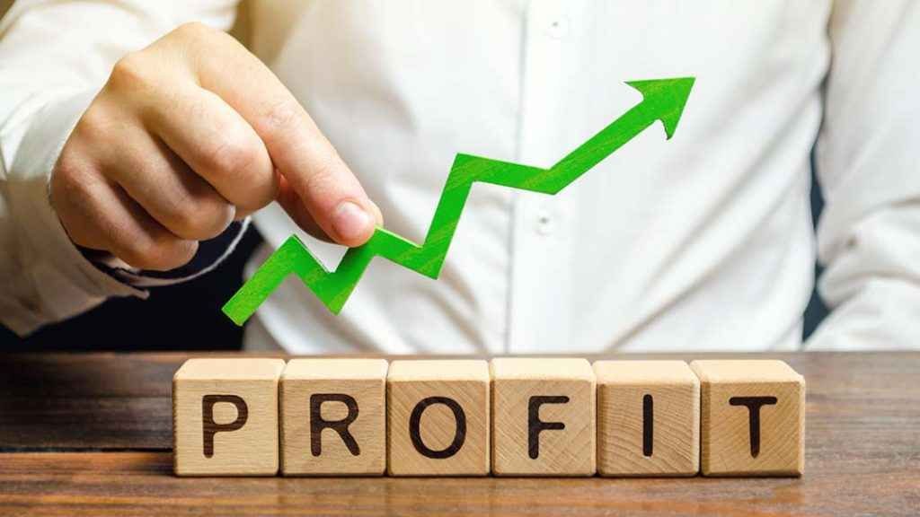 low investment high profit business idea